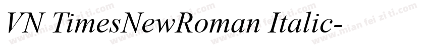 VN TimesNewRoman Italic字体转换